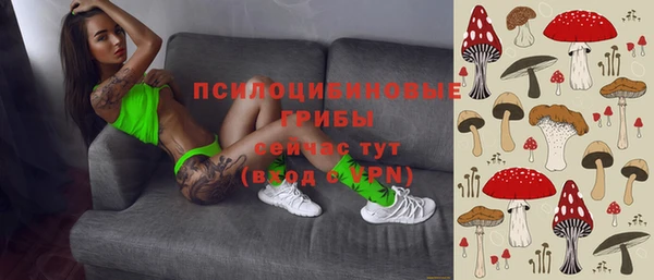 прущие грибы Козельск