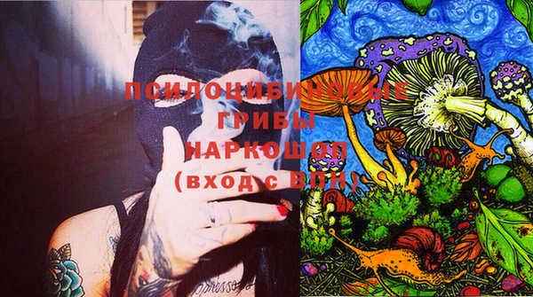 a pvp Кинешма