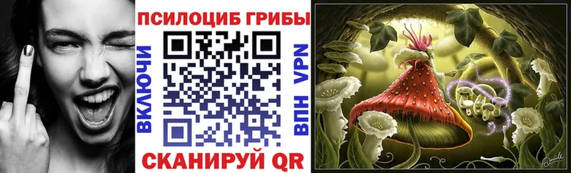 Купить  Перевоз  Галлюциногенные грибы прущие грибы 